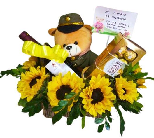 Profesional Radiante